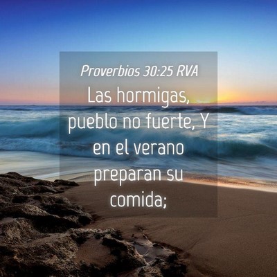 Picture 04 - Proverbios 30:25 RVA - Las hormigas, pueblo no fuerte, Y en el verano - Bible Verse Picture
