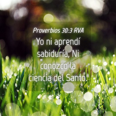 Picture 04 - Proverbios 30:3 RVA - Yo ni aprendí sabiduría, Ni conozco la ciencia - Bible Verse Picture