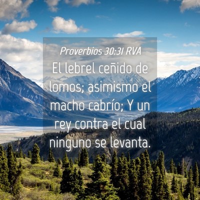 Picture 04 - Proverbios 30:31 RVA - El lebrel ceñido de lomos; asimismo el macho - Bible Verse Picture
