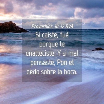Picture 04 - Proverbios 30:32 RVA - Si caiste, fué porque te enalteciste; Y si mal - Bible Verse Picture