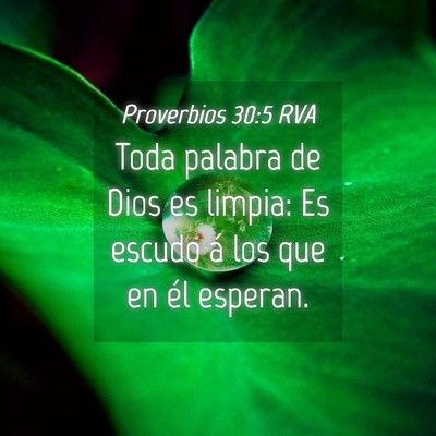 Picture 04 - Proverbios 30:5 RVA - Toda palabra de Dios es limpia: Es escudo á los - Bible Verse Picture