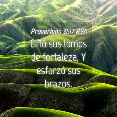 Picture 04 - Proverbios 31:17 RVA - Ciñó sus lomos de fortaleza, Y esforzó sus - Bible Verse Picture