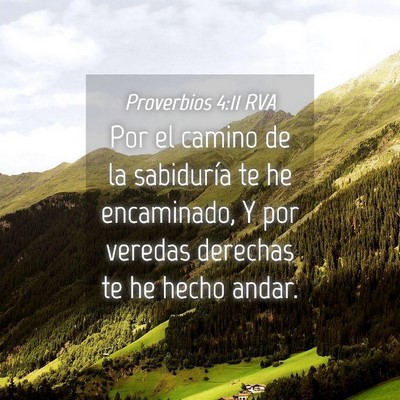 Picture 04 - Proverbios 4:11 RVA - Por el camino de la sabiduría te he encaminado, - Bible Verse Picture