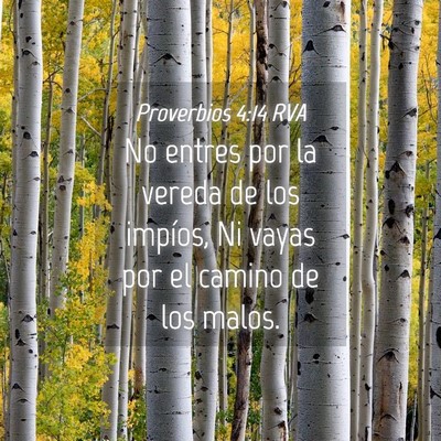 Picture 04 - Proverbios 4:14 RVA - No entres por la vereda de los impíos, Ni vayas - Bible Verse Picture