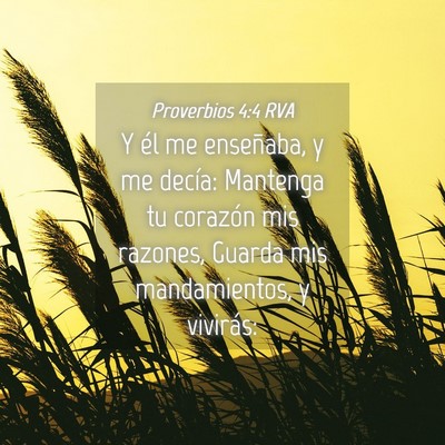 Picture 04 - Proverbios 4:4 RVA - Y él me enseñaba, y me decía: Mantenga tu - Bible Verse Picture