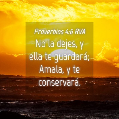 Picture 04 - Proverbios 4:6 RVA - No la dejes, y ella te guardará; Amala, y te - Bible Verse Picture