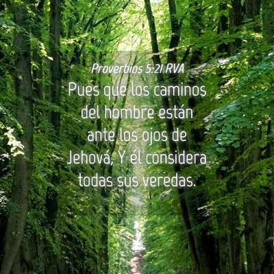 Picture 04 - Proverbios 5:21 RVA - Pues que los caminos del hombre están ante los - Bible Verse Picture