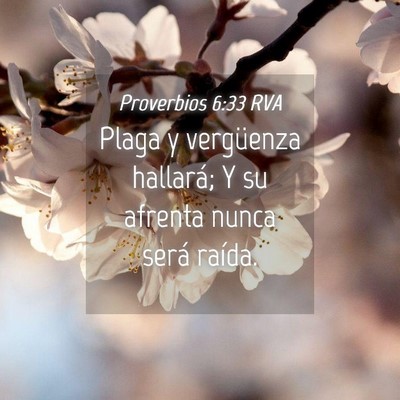 Picture 04 - Proverbios 6:33 RVA - Plaga y vergüenza hallará; Y su afrenta nunca - Bible Verse Picture