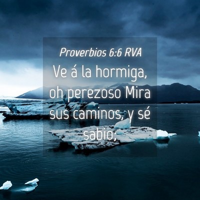 Picture 04 - Proverbios 6:6 RVA - Ve á la hormiga, oh perezoso Mira sus caminos, y - Bible Verse Picture