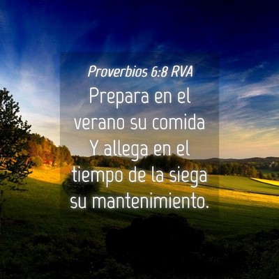 Picture 04 - Proverbios 6:8 RVA - Prepara en el verano su comida Y allega en el - Bible Verse Picture