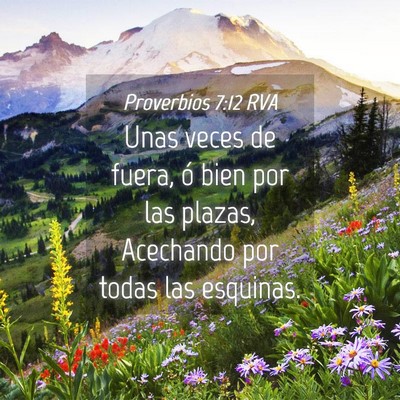 Picture 04 - Proverbios 7:12 RVA - Unas veces de fuera, ó bien por las plazas, - Bible Verse Picture
