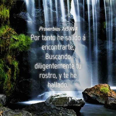 Picture 04 - Proverbios 7:15 RVA - Por tanto he salido á encontrarte, Buscando - Bible Verse Picture