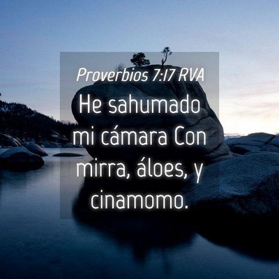 Picture 04 - Proverbios 7:17 RVA - He sahumado mi cámara Con mirra, áloes, y - Bible Verse Picture