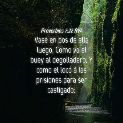 Picture 04 - Proverbios 7:22 RVA - Vase en pos de ella luego, Como va el buey al - Bible Verse Picture