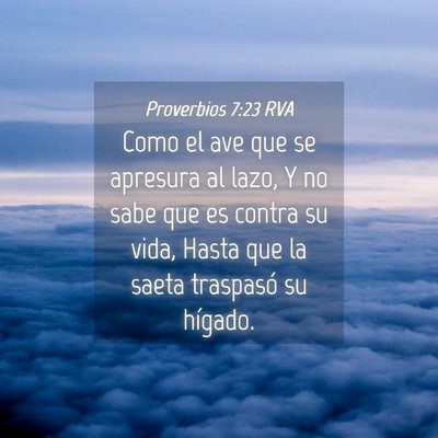 Picture 04 - Proverbios 7:23 RVA - Como el ave que se apresura al lazo, Y no sabe - Bible Verse Picture