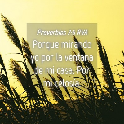 Picture 04 - Proverbios 7:6 RVA - Porque mirando yo por la ventana de mi casa, Por - Bible Verse Picture
