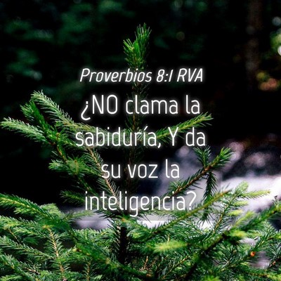 Picture 04 - Proverbios 8:1 RVA - ¿NO clama la sabiduría, Y da su voz la - Bible Verse Picture