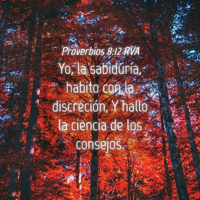 Picture 04 - Proverbios 8:12 RVA - Yo, la sabiduría, habito con la discreción, Y - Bible Verse Picture