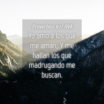 Picture 04 - Proverbios 8:17 RVA - Yo amo á los que me aman; Y me hallan los que - Bible Verse Picture