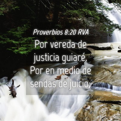 Picture 04 - Proverbios 8:20 RVA - Por vereda de justicia guiaré, Por en medio de - Bible Verse Picture