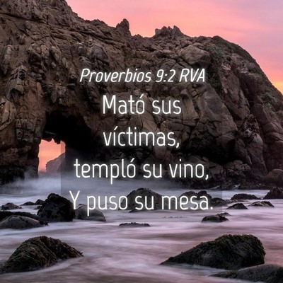 Picture 04 - Proverbios 9:2 RVA - Mató sus víctimas, templó su vino, Y puso su - Bible Verse Picture