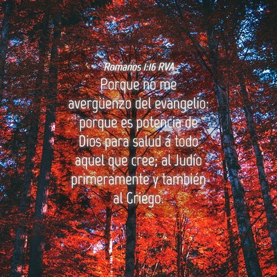 Picture 04 - Romanos 1:16 RVA - Porque no me avergüenzo del evangelio: porque es - Bible Verse Picture