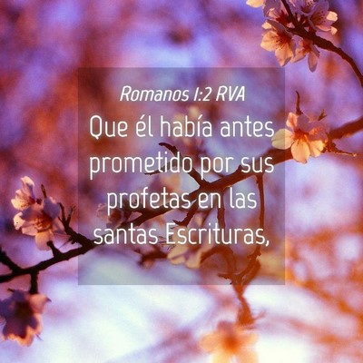 Picture 04 - Romanos 1:2 RVA - Que él había antes prometido por sus profetas - Bible Verse Picture