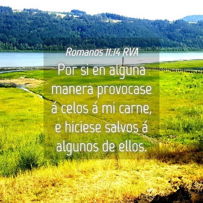 Picture 04 - Romanos 11:14 RVA - Por si en alguna manera provocase á celos á mi - Bible Verse Picture