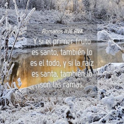Picture 04 - Romanos 11:16 RVA - Y si el primer fruto es santo, también lo es el - Bible Verse Picture