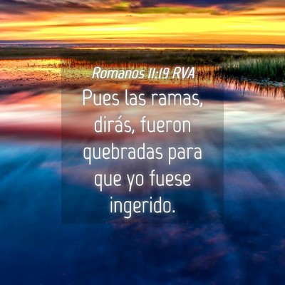 Picture 04 - Romanos 11:19 RVA - Pues las ramas, dirás, fueron quebradas para que - Bible Verse Picture