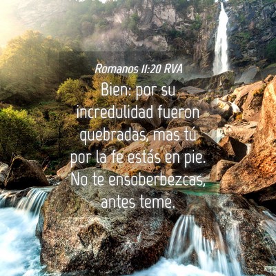 Picture 04 - Romanos 11:20 RVA - Bien: por su incredulidad fueron quebradas, mas - Bible Verse Picture