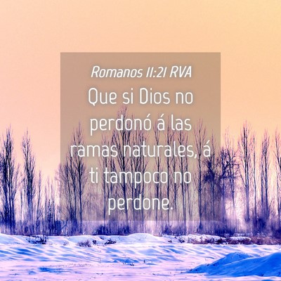 Picture 04 - Romanos 11:21 RVA - Que si Dios no perdonó á las ramas naturales, - Bible Verse Picture