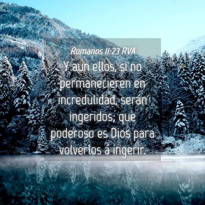Picture 04 - Romanos 11:23 RVA - Y aun ellos, si no permanecieren en incredulidad, - Bible Verse Picture