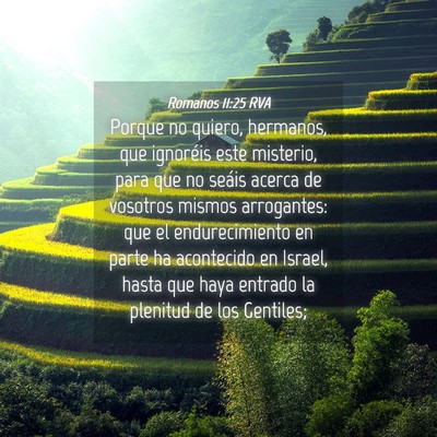 Picture 04 - Romanos 11:25 RVA - Porque no quiero, hermanos, que ignoréis este - Bible Verse Picture