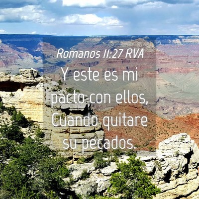 Picture 04 - Romanos 11:27 RVA - Y este es mi pacto con ellos, Cuando quitare su - Bible Verse Picture