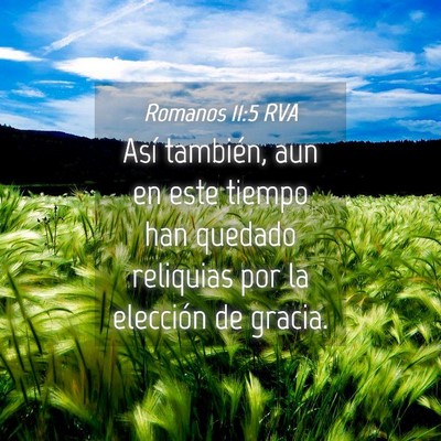 Picture 04 - Romanos 11:5 RVA - Así también, aun en este tiempo han quedado - Bible Verse Picture
