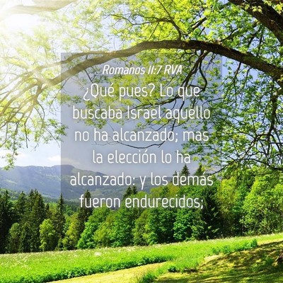 Picture 04 - Romanos 11:7 RVA - ¿Qué pues? Lo que buscaba Israel aquello no ha - Bible Verse Picture