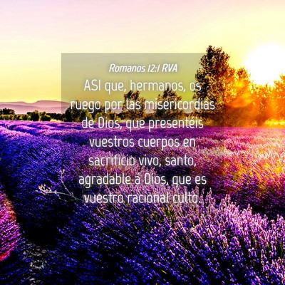 Picture 04 - Romanos 12:1 RVA - ASI que, hermanos, os ruego por las misericordias - Bible Verse Picture