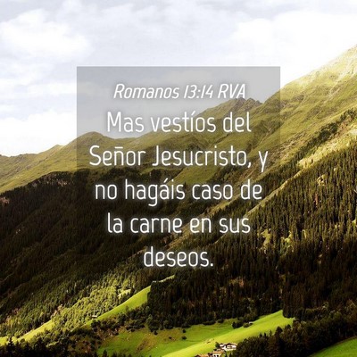 Picture 04 - Romanos 13:14 RVA - Mas vestíos del Señor Jesucristo, y no hagáis - Bible Verse Picture