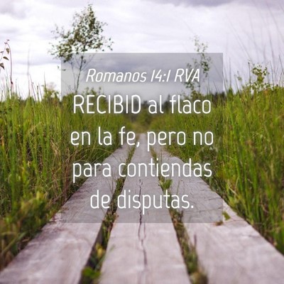 Picture 04 - Romanos 14:1 RVA - RECIBID al flaco en la fe, pero no para - Bible Verse Picture