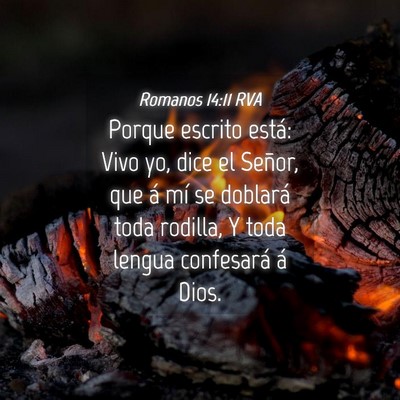 Picture 04 - Romanos 14:11 RVA - Porque escrito está: Vivo yo, dice el Señor, - Bible Verse Picture