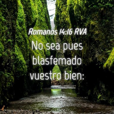 Picture 04 - Romanos 14:16 RVA - No sea pues blasfemado vuestro - Bible Verse Picture