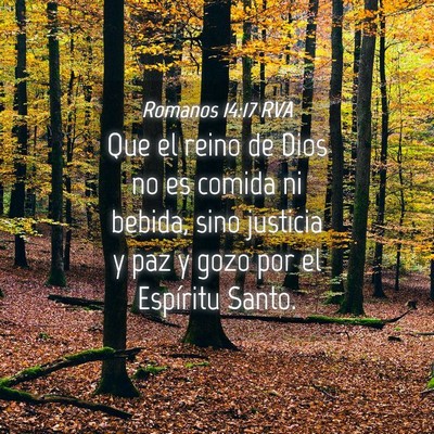 Picture 04 - Romanos 14:17 RVA - Que el reino de Dios no es comida ni bebida, sino - Bible Verse Picture