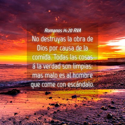 Picture 04 - Romanos 14:20 RVA - No destruyas la obra de Dios por causa de la - Bible Verse Picture