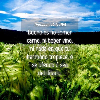 Picture 04 - Romanos 14:21 RVA - Bueno es no comer carne, ni beber vino, ni nada - Bible Verse Picture