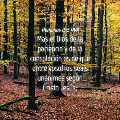 Picture 04 - Romanos 15:5 RVA - Mas el Dios de la paciencia y de la consolación - Bible Verse Picture