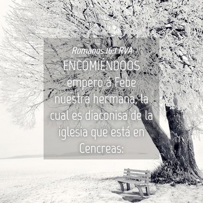 Picture 04 - Romanos 16:1 RVA - ENCOMIÉNDOOS empero á Febe nuestra hermana, la - Bible Verse Picture