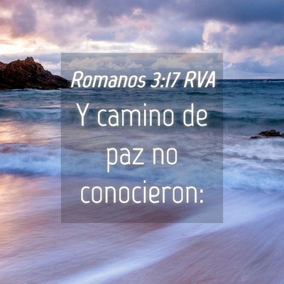 Picture 04 - Romanos 3:17 RVA - Y camino de paz no - Bible Verse Picture