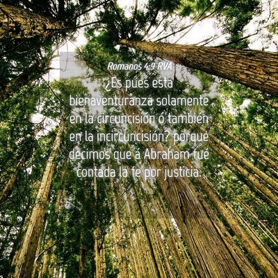 Picture 04 - Romanos 4:9 RVA - ¿Es pues esta bienaventuranza solamente en la - Bible Verse Picture