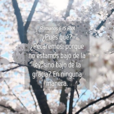 Picture 04 - Romanos 6:15 RVA - ¿Pues qué? ¿Pecaremos, porque no estamos bajo - Bible Verse Picture